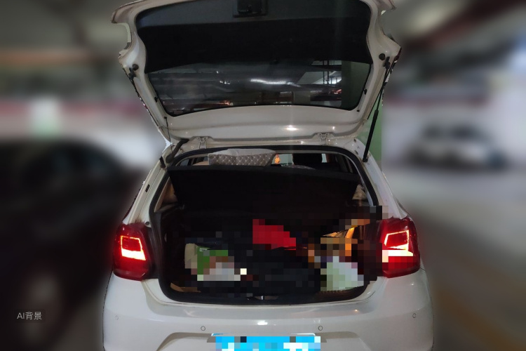 Volkswagen Polo 2018 car image #21