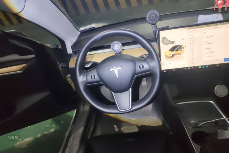 Tesla Model 3 2022 car image #12