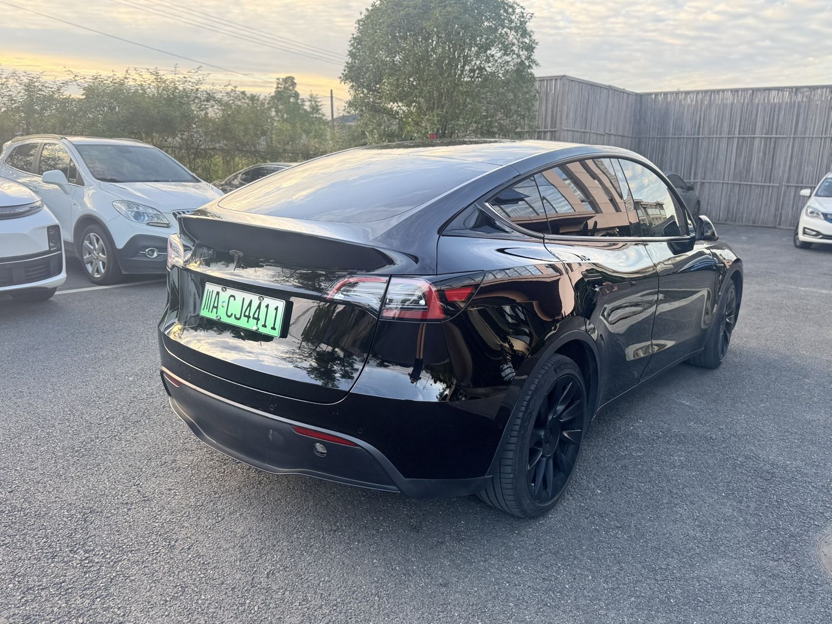 Tesla Model Y 2021 car image #4