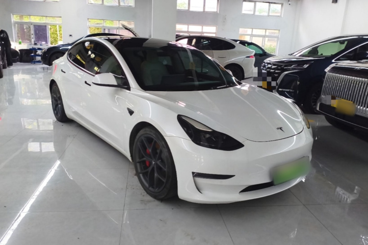Tesla Model 3 2021 car image #6