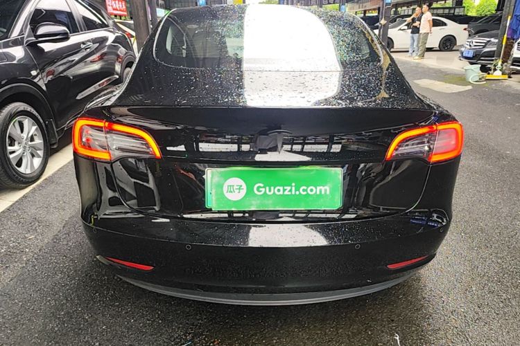 Tesla Model 3 2021 car image #6