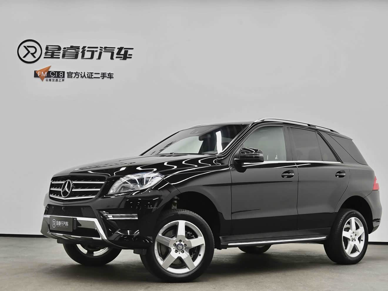 Mercedes-Benz M Class 2014 car image 