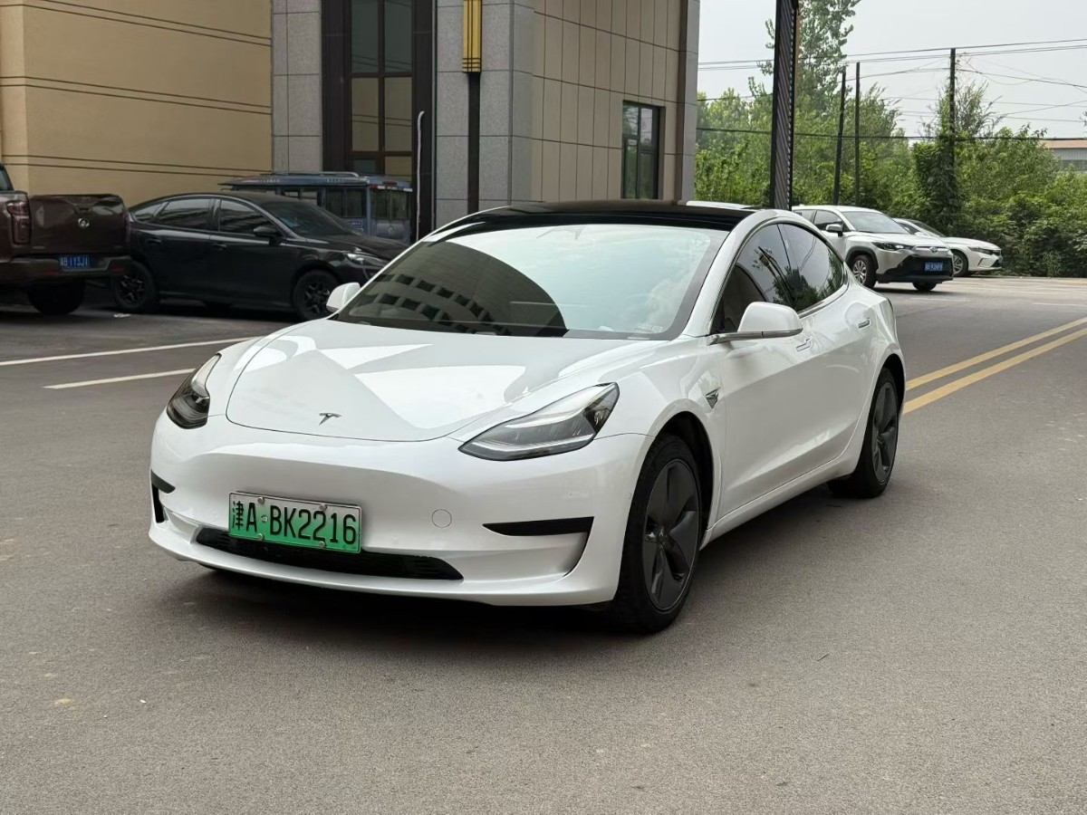 Tesla Model 3 (Imported) 2020 car image 