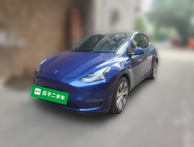 Tesla Model Y 2021 immagine di auto 