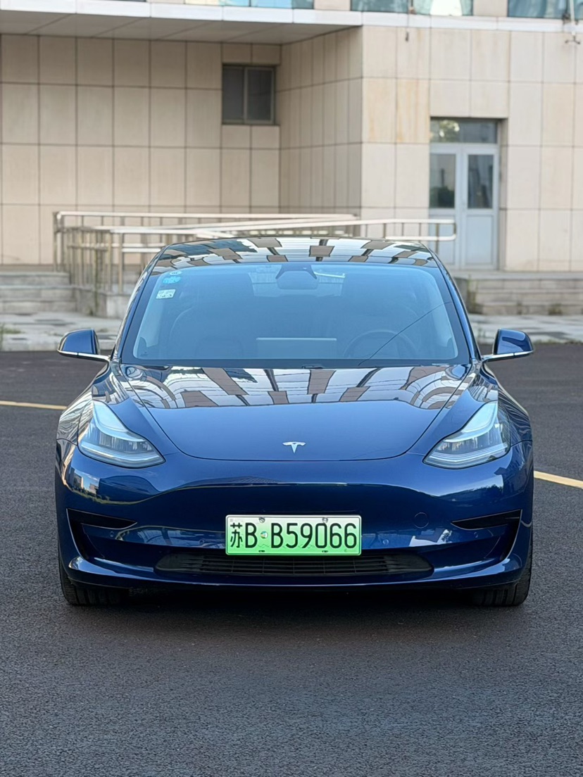 Tesla Model 3 2021 #3 Tesla Model 3 2021 car image #3
