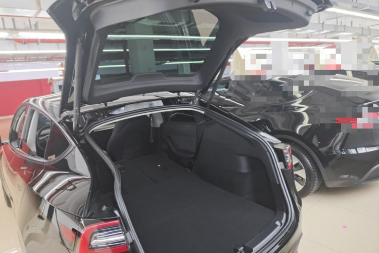Tesla Model Y 2023 #19 Tesla Model Y 2023 car image #19