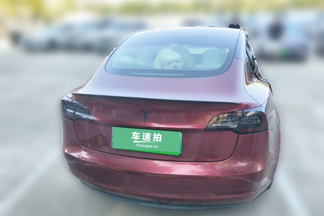 Tesla Model 3 2020 #6 Tesla Model 3 2020 immagine di auto #6