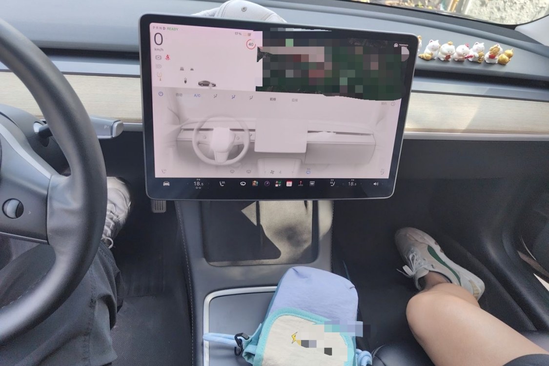 Tesla Model 3 2021 #26 Tesla Model 3 2021 car image #26