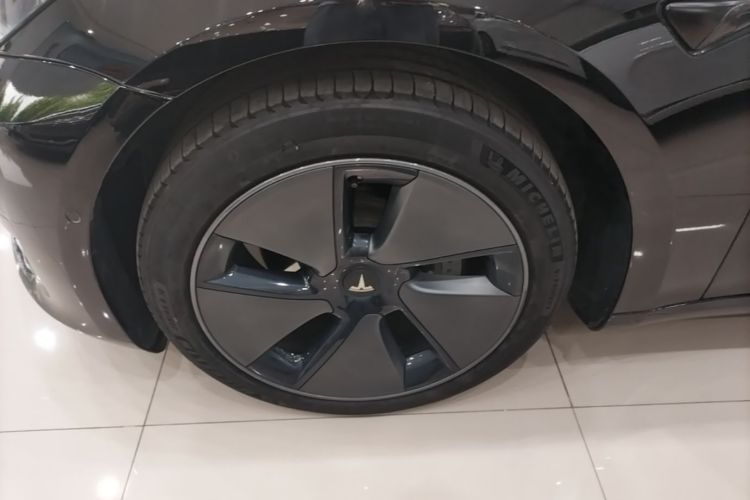 Tesla Model 3 2023 #3 Tesla Model 3 2023 car image #3