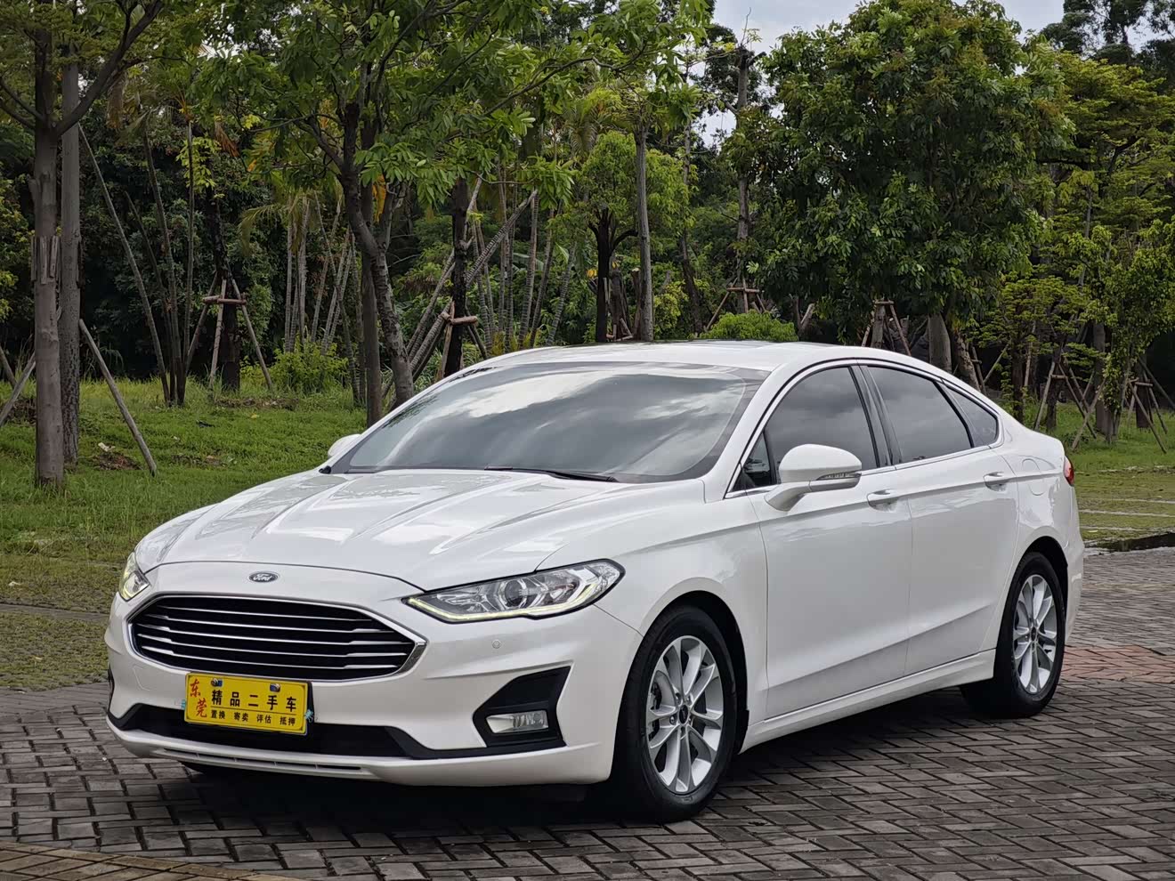 Ford Mondeo 2019 Ford Mondeo 2019 car image