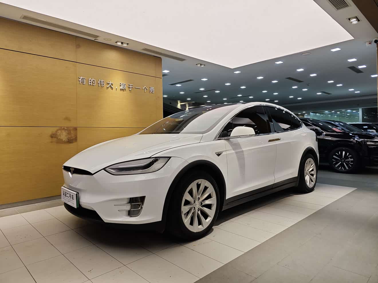 Tesla Model X 2017 汽车图片 