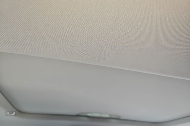 Volkswagen Lavida 2021 car image #20
