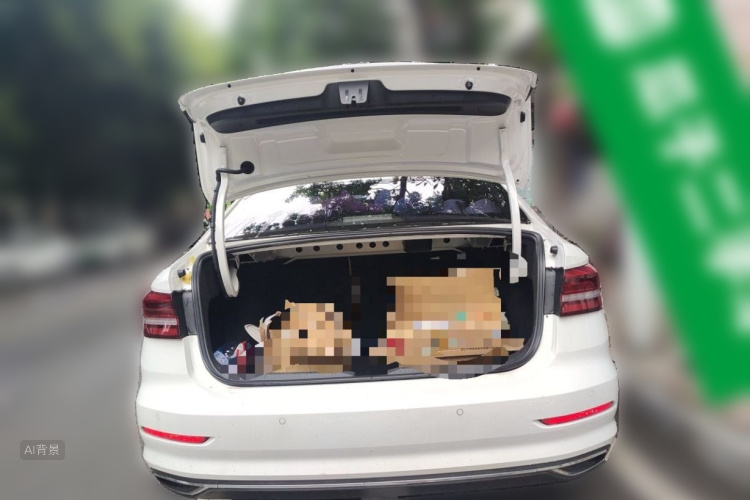 Volkswagen Lavida 2020 car image #21