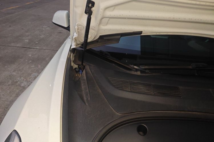Tesla Model 3 2021 #23 Tesla Model 3 2021 car image #23