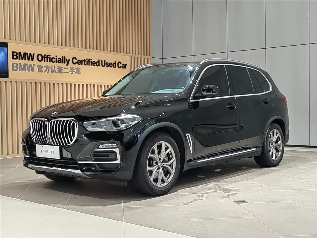 BMW X5 New Energy (Imported) 2023 car image 