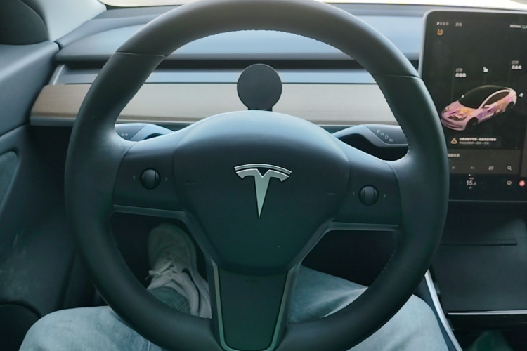 Tesla Model 3 2019 #11 Tesla Model 3 2019 car image #11