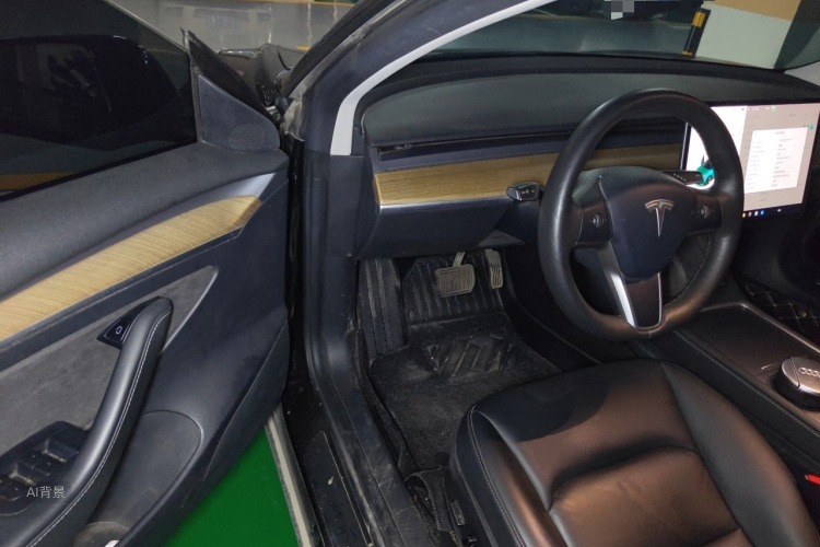 Tesla Model 3 2021 immagine di auto #18