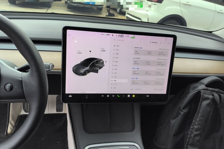 Tesla Model 3 2021 car image #13