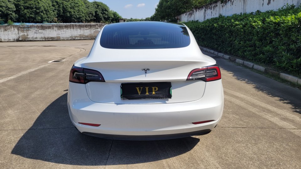Tesla Model 3 (Imported) 2019 car image #21