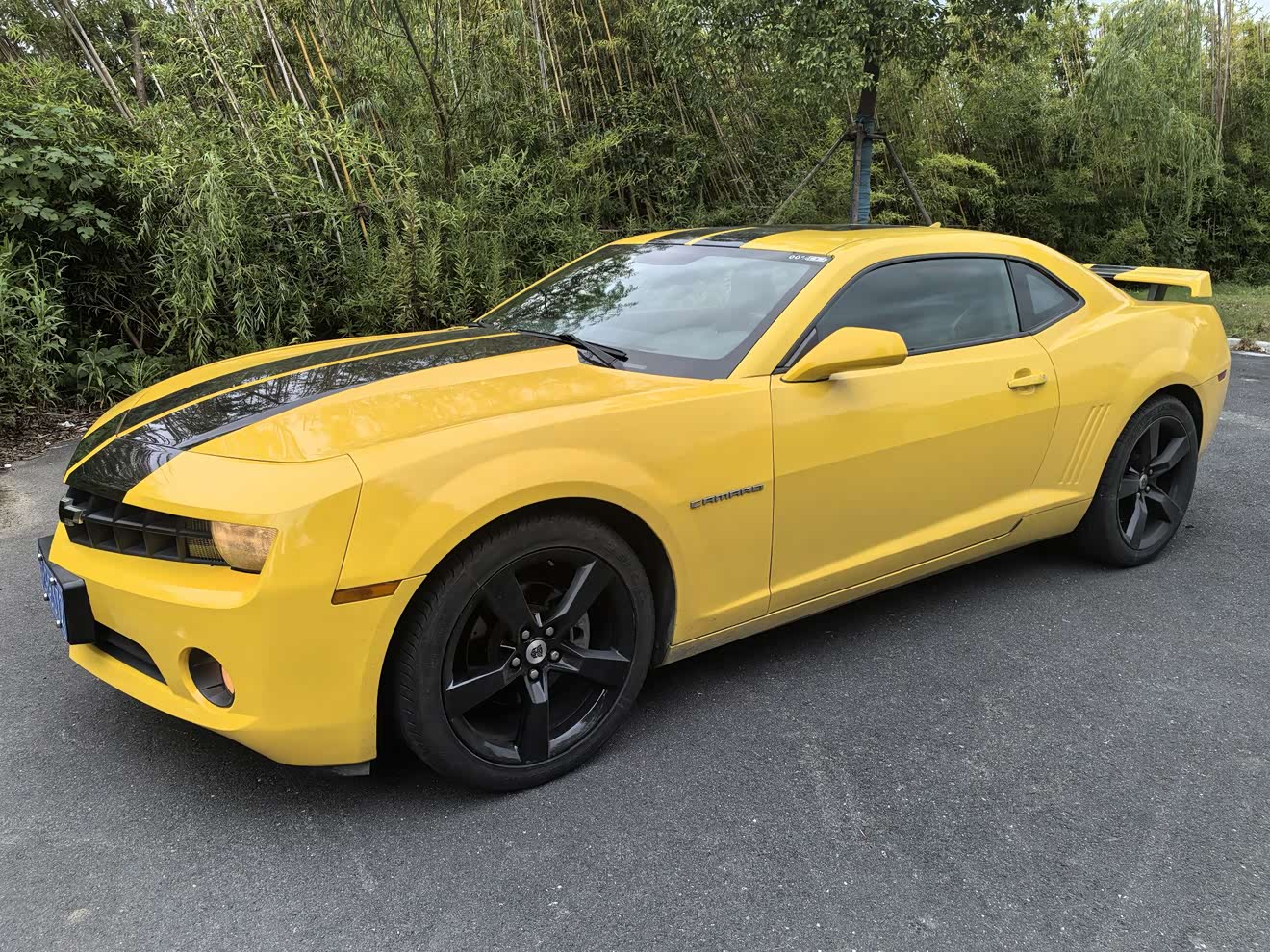 Chevrolet Camaro 2013 car image 