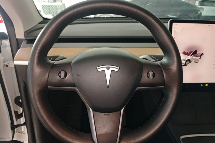 Tesla Model Y 2022 car image #15