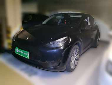 Tesla Model Y 2022 car image 