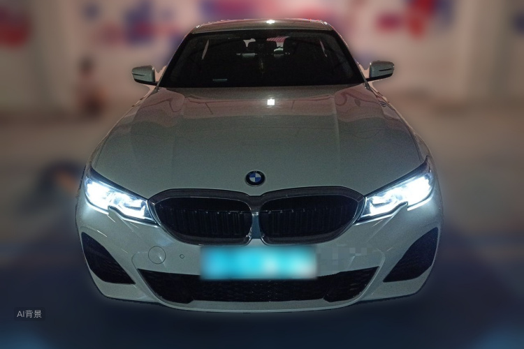 BMW 3 Series 2020 car image #3