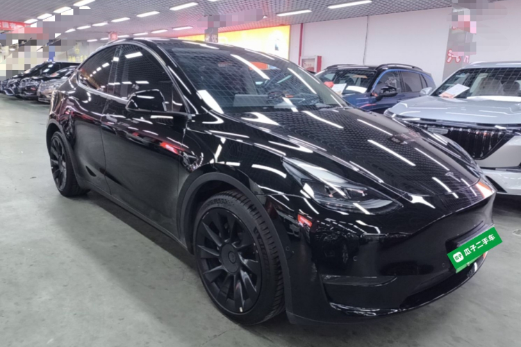 Tesla Model Y 2021 immagine di auto #4
