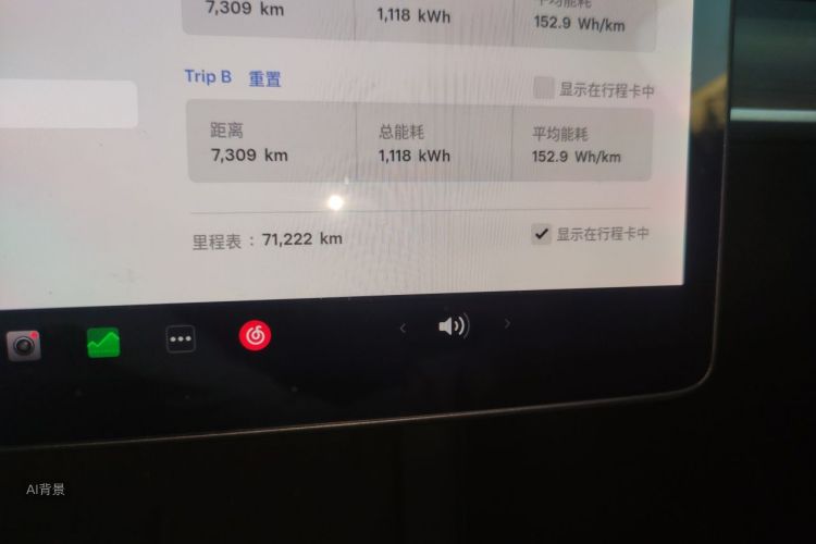 Tesla Model Y 2021 car image #14