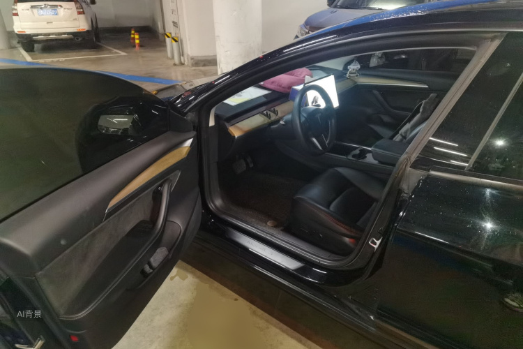 Tesla Model 3 2021 car image #18