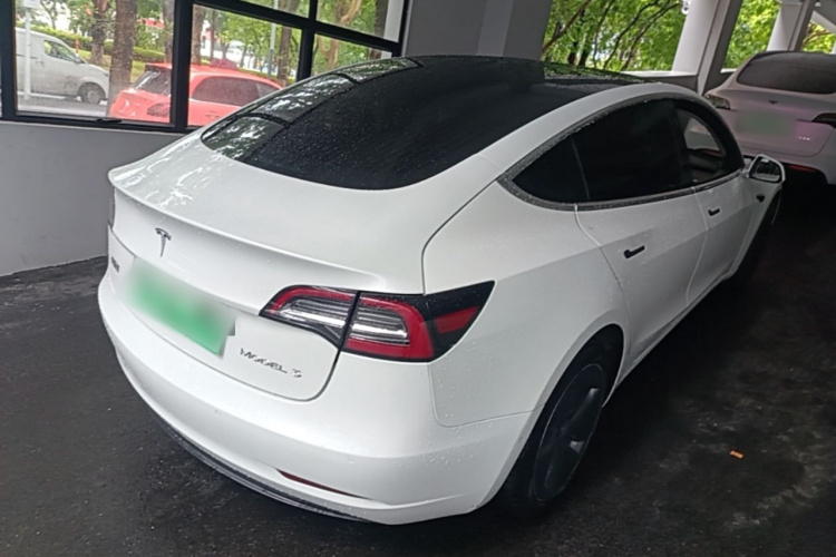 Tesla Model 3 2020 immagine di auto #7