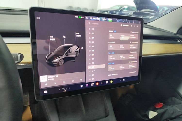 Tesla Model 3 2021 car image #13