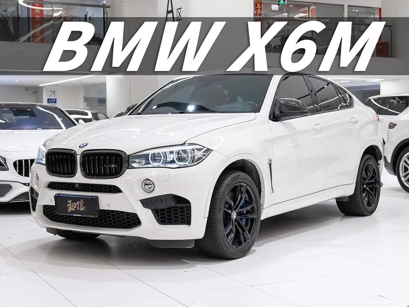 BMW X6 M 2016 car image 