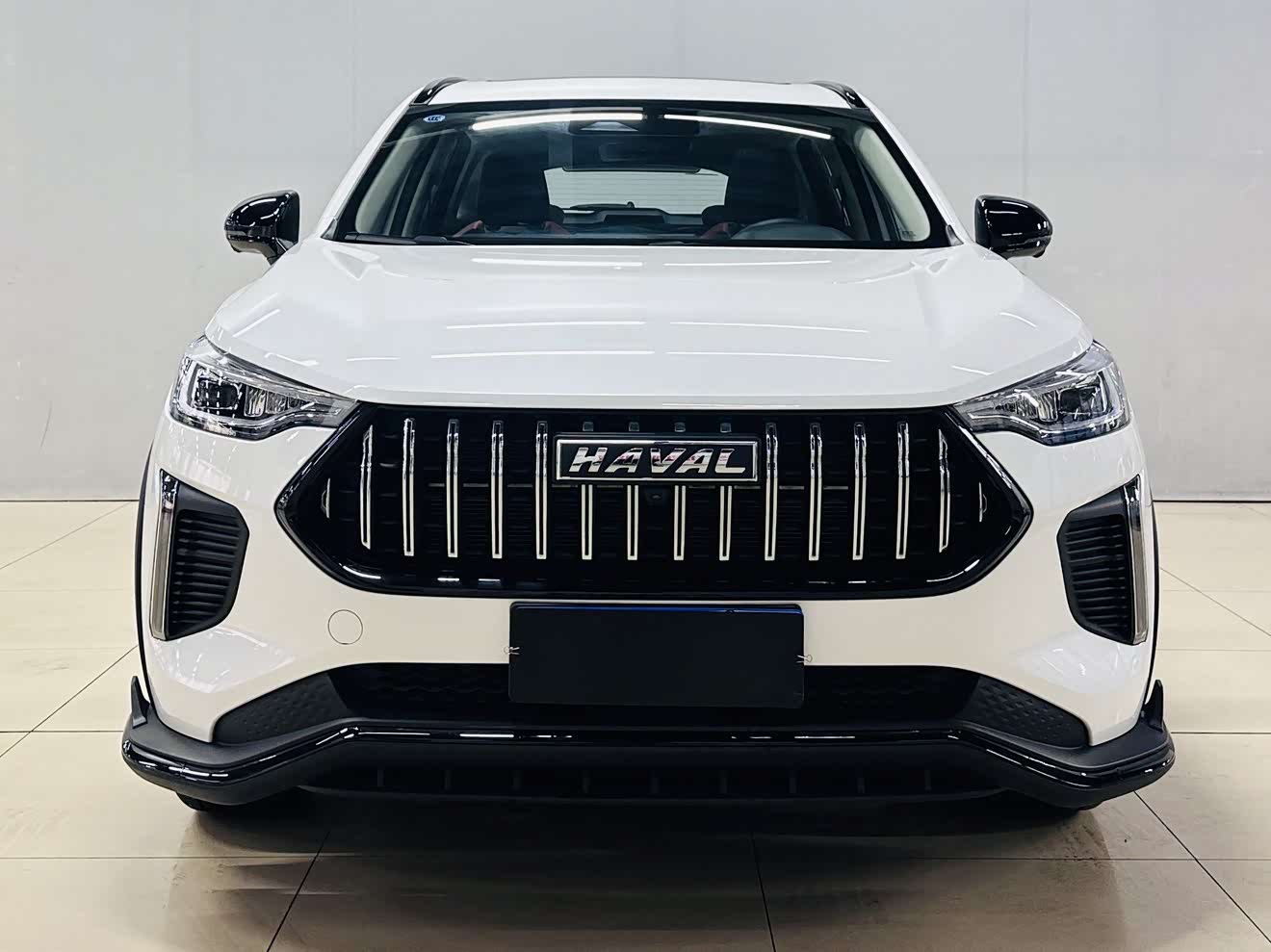 Haval Rabbit 2024 car image 