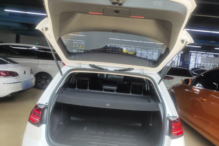 Volkswagen Golf 2019 car image #19