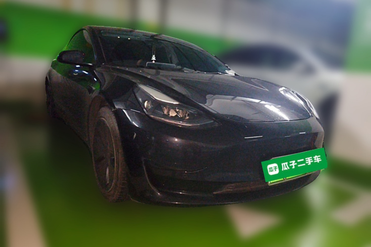 Tesla Model 3 2021 car image #4