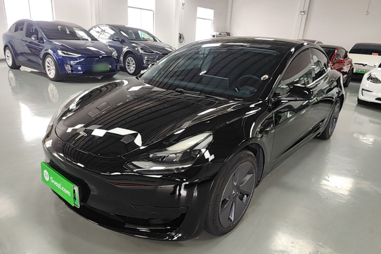 Tesla Model 3 2021 car image #2