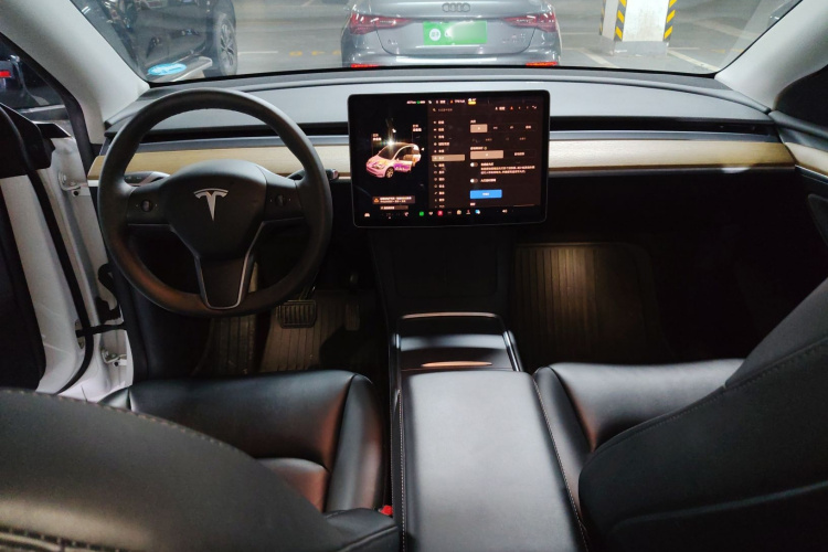 Tesla Model Y 2021 #10 Tesla Model Y 2021 car image #10