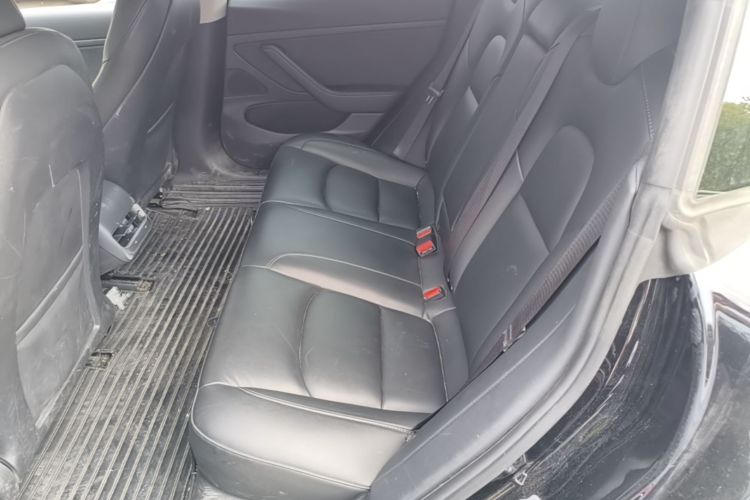 Tesla Model 3 2020 car image #17