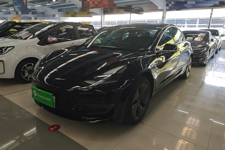 Tesla Model 3 2020 imagem de carro #2