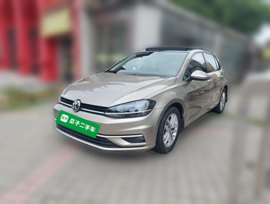 Volkswagen Golf 2019 Volkswagen Golf 2019 car image