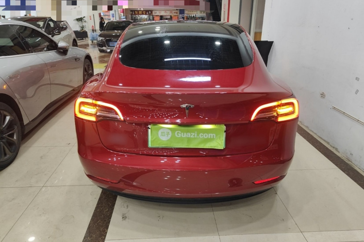 Tesla Model 3 2021 car image #6
