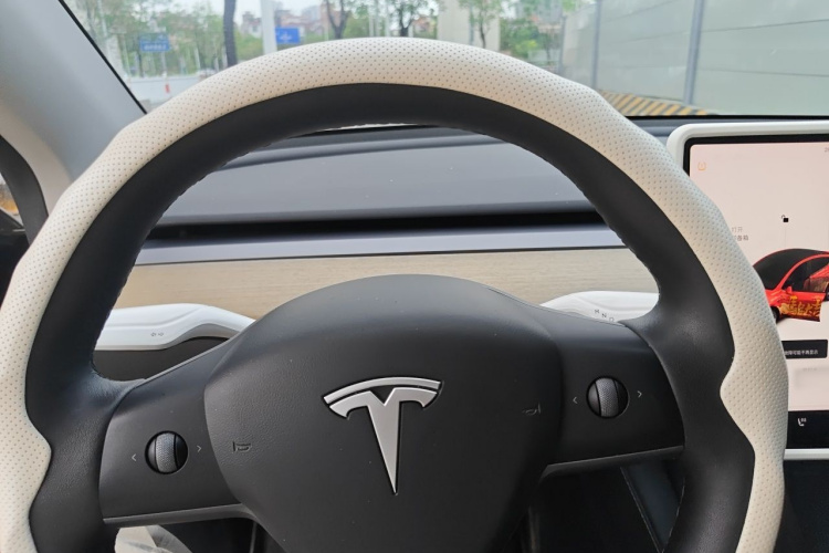 Tesla Model Y 2021 car image #16