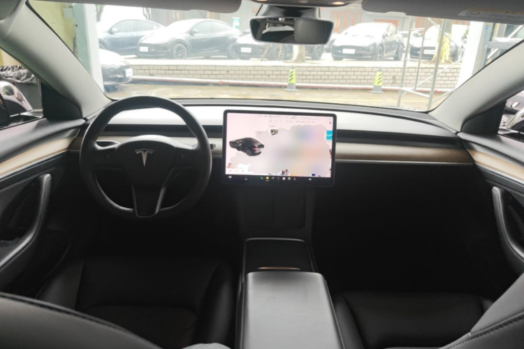Tesla Model 3 2021 car image #10