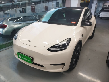 Tesla Model Y 2022 Tesla Model Y 2022 car image