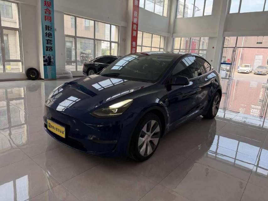 Tesla Model Y 2021 car image 