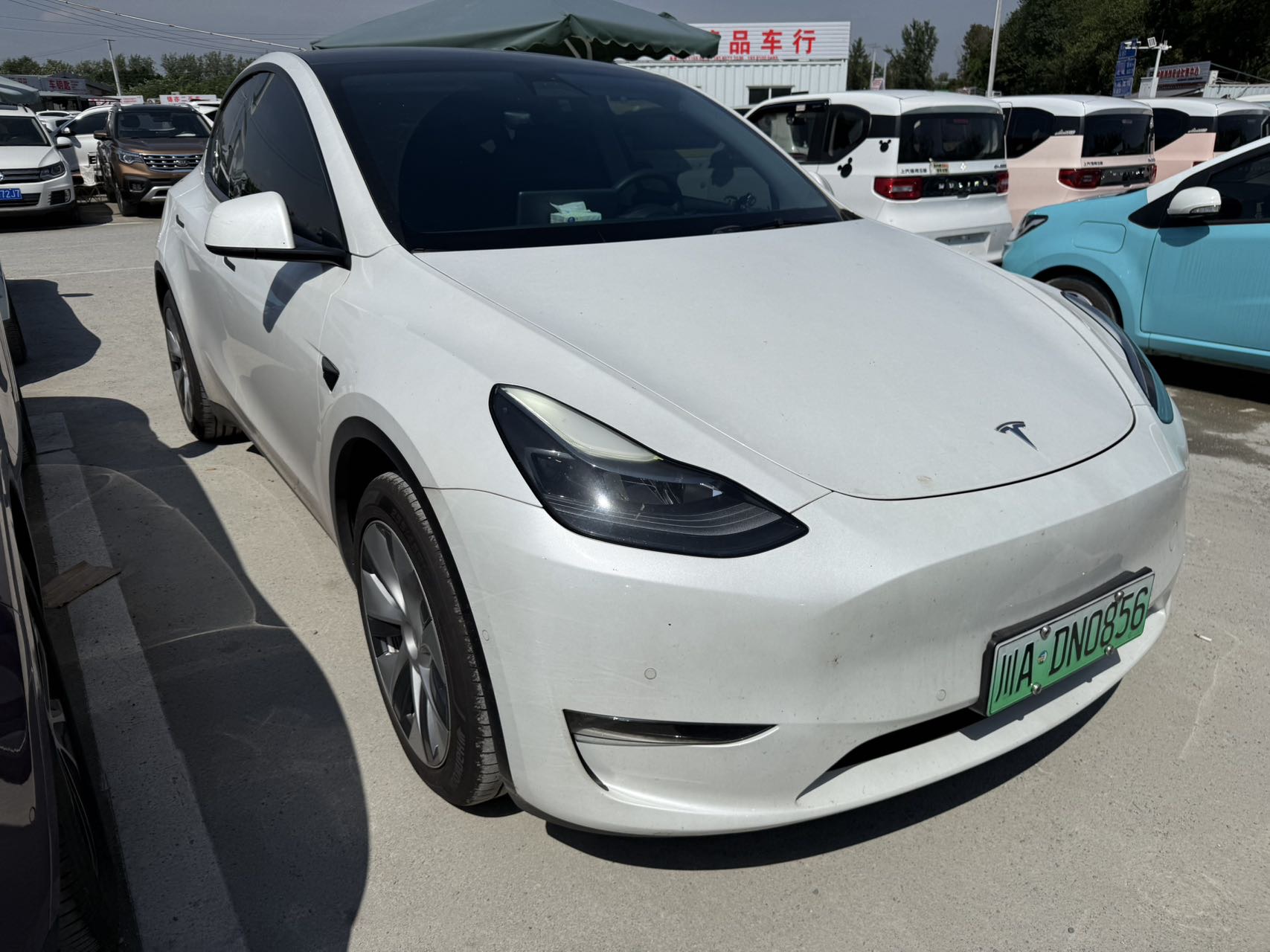 Tesla Model Y 2021 #3 Tesla Model Y 2021 car image #3
