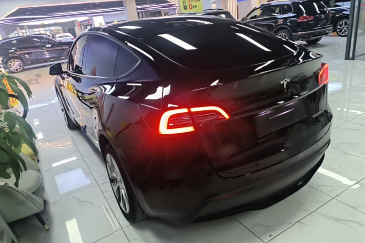 Tesla Model Y 2023 #5 Tesla Model Y 2023 car image #5