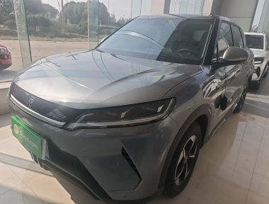 BYD YuanUP 2024 car image 