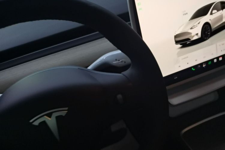 Tesla Model Y 2023 car image #14
